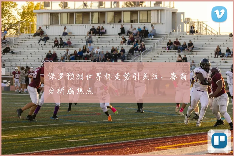保罗预测世界杯走势引关注,赛前分析成焦点