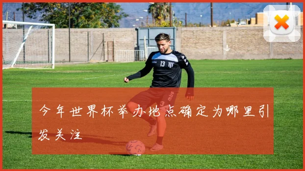 今年世界杯举办地点确定为哪里引发关注