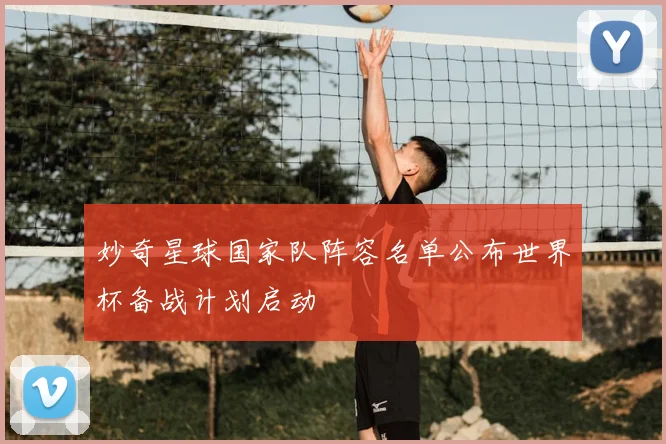 妙奇星球国家队阵容名单公布世界杯备战计划启动