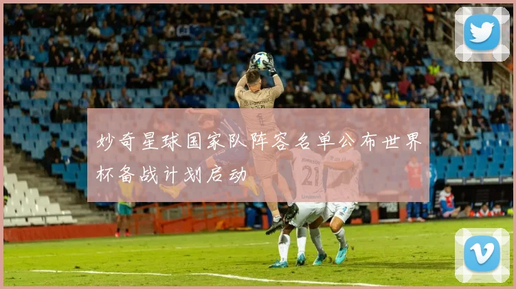 妙奇星球国家队阵容名单公布世界杯备战计划启动