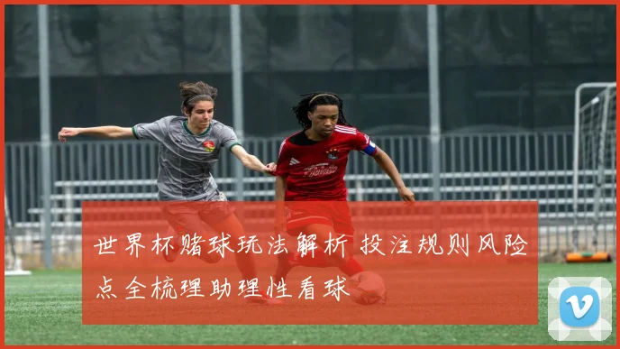 世界杯赌球玩法解析 投注规则风险点全梳理助理性看球
