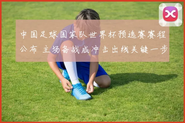 中国足球国家队世界杯预选赛赛程公布 主场备战成冲击出线关键一步